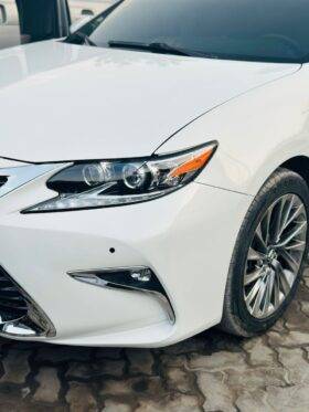 2014 Lexus 2014