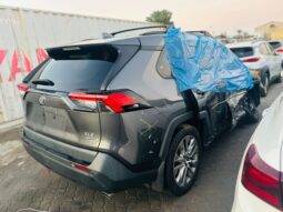 2019 Toyota 2019