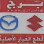 Smart Vision International LLC