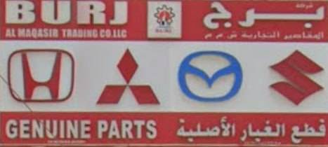 Smart Vision International LLC