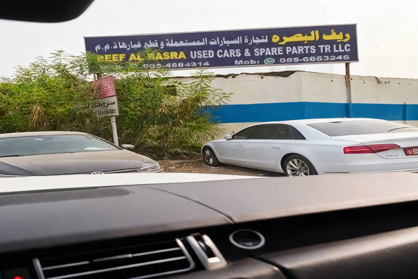 Reef Al basra