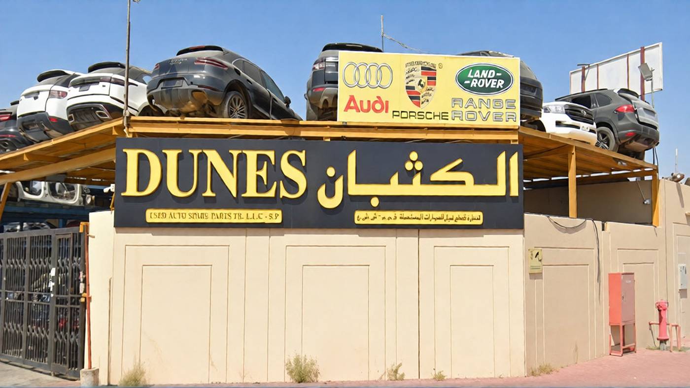 dunes